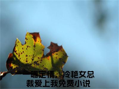 一吻定情，冷艳女总裁爱上我阅读无弹窗大结局_叶风林雪穿越小说免费阅读_笔趣阁