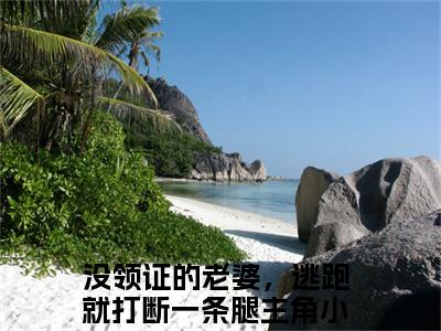 【完整版】（穆岘苏芮初小说没领证的老婆，逃跑就打断一条腿）精彩小说全本资源免费阅读结局无删节_没领证的老婆，逃跑就打断一条腿全章节阅读