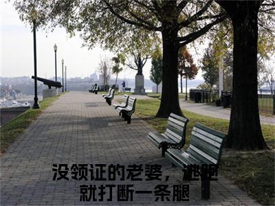 （没领证的老婆，逃跑就打断一条腿）全文免费阅读无弹窗大结局_（穆岘苏芮初全文免费）没领证的老婆，逃跑就打断一条腿小说最新章节列表_笔趣阁（穆岘苏芮初）