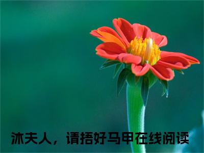 沐夫人，请捂好马甲独家小说沐时煜 阮曦-沐夫人，请捂好马甲无删版小说推荐