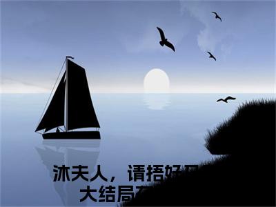 (沐夫人，请捂好马甲)阮曦沐时煜全文免费阅读无弹窗完整版_（阮曦沐时煜小说全文免费阅读）阮曦沐时煜最新章节列表笔趣阁(沐夫人，请捂好马甲)