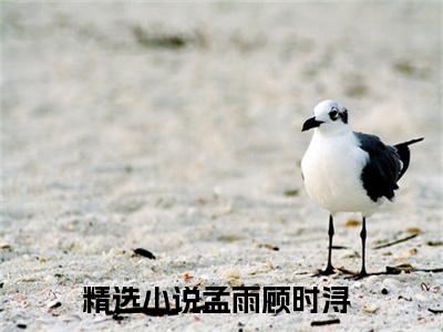 孟雨顾时浔（孟雨顾时浔全文在线阅读）-孟雨顾时浔(孟雨顾时浔)免费阅读无删减大结局（孟雨顾时浔）