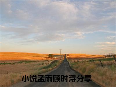 主角为孟雨顾时浔的小说-孟雨顾时浔小说全文免费阅读