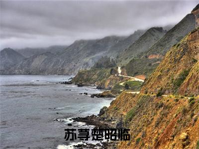苏荨楚昭临的小说主角（苏荨楚昭临）免费阅读_苏荨楚昭临热搜小说完结版阅读