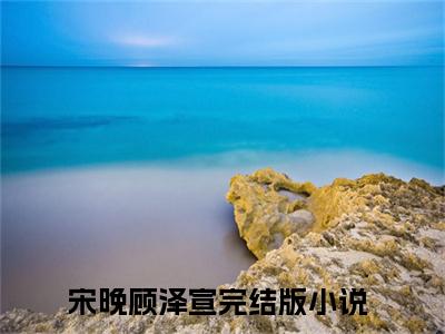 小说(宋晚顾泽宣)免费阅读-宋晚顾泽宣小说全文在线赏析