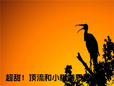 谢衍秦郁青在线阅读（超甜！顶流和小糊咖恩恩爱爱小说）全文免费阅读无弹窗大结局_谢衍秦郁青免费最新章节列表_笔趣阁（超甜！顶流和小糊咖恩恩爱爱小说）