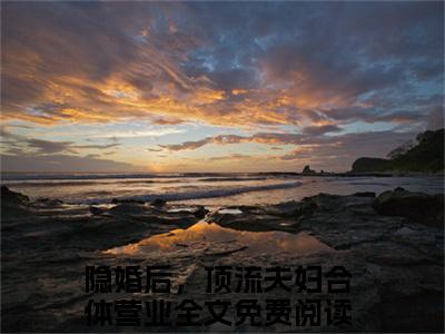 隐婚后，顶流夫妇合体营业的小说免费阅读言情小说《沈南枝容君羡》全文-沈南枝容君羡的小说免费阅读小说无弹窗阅读