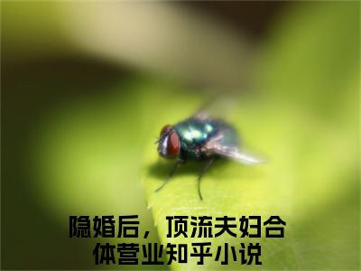 沈南枝容君羡热门小说隐婚后，顶流夫妇合体营业最新章节免费阅读-完结版全文隐婚后，顶流夫妇合体营业小说在线阅读