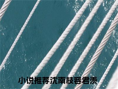 经典小说隐婚后，顶流夫妇合体营业无广告小说免费阅读 沈南枝容君羡全章节免费阅读