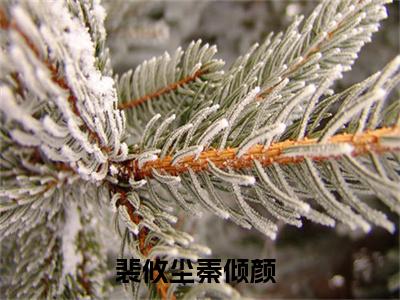 裴攸尘秦倾颜免费阅读无弹窗大结局_(裴攸尘秦倾颜免费阅读)裴攸尘秦倾颜免费阅读无弹窗最新章节列表_笔趣阁