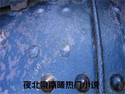 全网热搜（夜北枭南曦）是什么小说_夜北枭南曦小说（夜北枭南曦）热门章节阅读无弹窗_笔趣阁