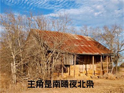 南曦夜北枭言情小说免费观看-小说(南曦夜北枭)最新章节阅读