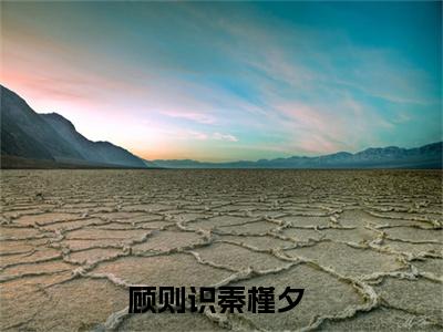 快手热推顾则识秦槿夕（顾则识秦槿夕）最新小说大结局-小说全文免费在线赏析