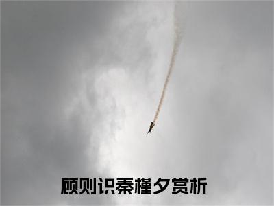 顾则识秦槿夕(顾则识秦槿夕)全文免费阅读无弹窗大结局_(顾则识秦槿夕)最新章节
