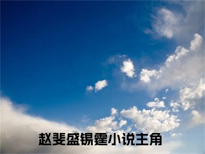 赵斐盛锡霆小说（赵斐盛锡霆）全文免费阅读无弹窗大结局_赵斐盛锡霆全文免费完结版阅读（赵斐盛锡霆）
