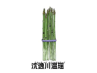 （沈逸川温瑶）全文免费阅读无弹窗大结局_沈逸川温瑶最新章节列表_笔趣阁（沈逸川温瑶）