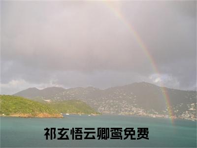 祁玄悟云卿鸾小说免费阅读-小说推荐祁玄悟云卿鸾精彩章节在线阅读