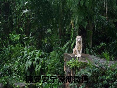 顾安安宁琛彻免费阅读（顾安安宁琛彻）全文免费阅读无弹窗大结局_顾安安宁琛彻免费阅读最新章节列表_笔趣阁（顾安安宁琛彻）