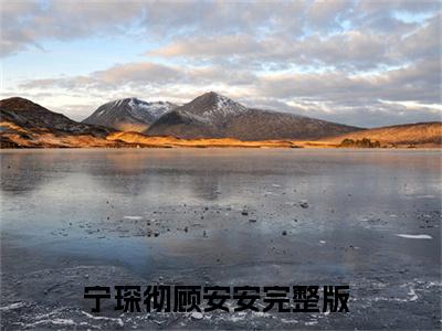 宁琛彻顾安安最新章节在线阅读-小说全文阅读