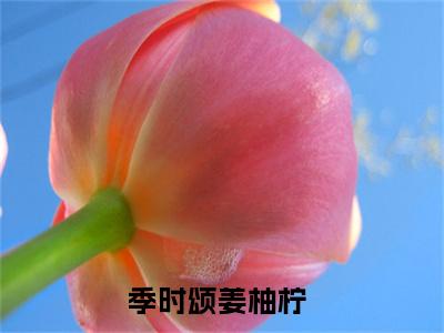 季时颂姜柚柠精彩章节小说-季时颂姜柚柠最新更新阅读