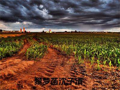 热推新书黎梦菡沈子清小说全文（黎梦菡沈子清）全文免费阅读_黎梦菡沈子清最新章节无弹窗阅读