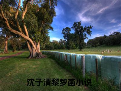 沈子清黎梦菡（沈子清黎梦菡)全文免费阅读无弹窗大结局_沈子清黎梦菡（沈子清黎梦菡）全文完整无删减版免费阅读（沈子清黎梦菡）