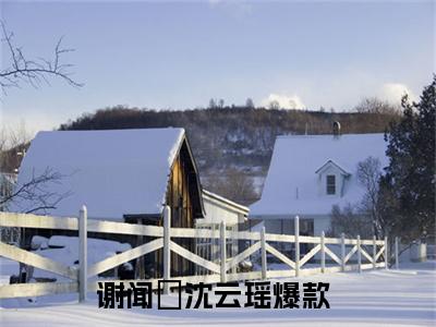 谢闻璟沈云瑶长篇小说免费阅读-小说最新试读