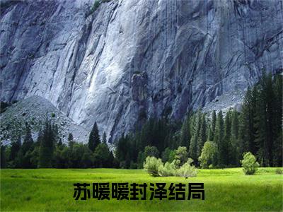 苏暖暖封泽全集章节小说免费阅读完整版（苏暖暖封泽）-苏暖暖封泽小说免费阅读