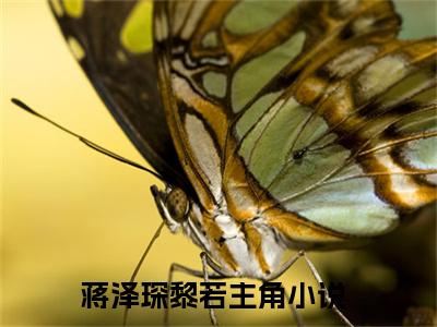 (蒋泽琛黎若)蒋泽琛黎若小说免费蒋泽琛黎若读无弹窗最新章节列表_笔趣阁（蒋泽琛黎若）