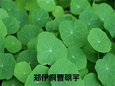（郑伊桐曹明宇）抖音郑伊桐曹明宇小说阅读完结版-郑伊桐曹明宇小说全文免费阅读