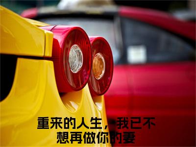 许晚棠梁祁安高赞小说（重来的人生，我已不想再做你的妻）完结阅读_许晚棠梁祁安全文完整版免费阅读最新章节列表