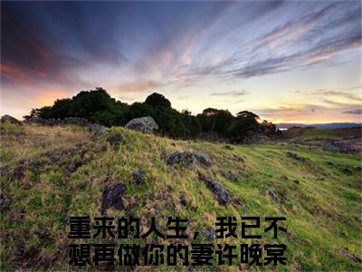 重来的人生，我已不想再做你的妻新书热荐免费小说许晚棠梁祁安-小说许晚棠梁祁安大结局