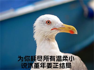 为你耗尽所有温柔（沐堇年姜芷）笔趣阁免费小说全文完整版-沐堇年姜芷无弹窗免费阅读