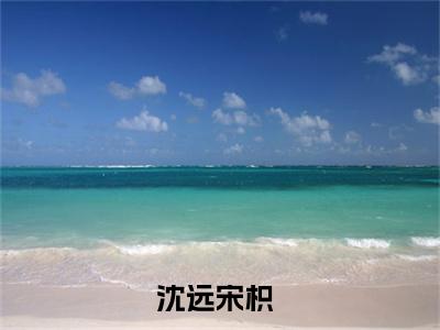 沈远宋枳（沈远宋枳）全文免费阅读无弹窗_(沈远宋枳)沈远宋枳全文免费阅读无弹窗最新章节列表_笔趣阁（沈远宋枳）