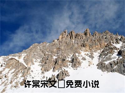 许棠宋文璟小说(许棠宋文璟)全文免费许棠宋文璟读无弹窗大结局_(许棠宋文璟小说免费阅读)