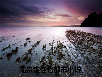 陆枭沈佳怡全文小说全章节阅读