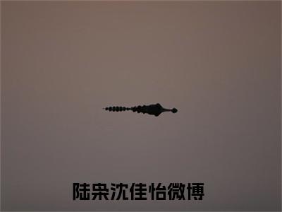 陆枭沈佳怡完结版小说全文在线免费阅读_陆枭沈佳怡最新章节列表_笔趣阁