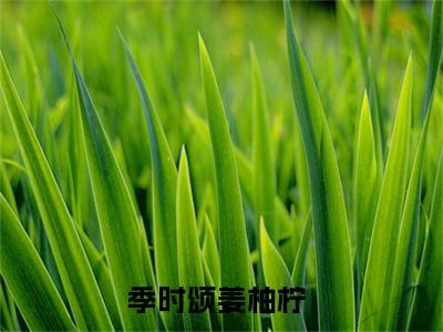 季时颂姜柚柠（季时颂姜柚柠）小说-季时颂姜柚柠小说免费最新章节列表