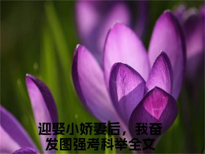 任俊杰免费阅读无弹窗大结局-迎娶小娇妻后，我奋发图强考科举（最新全章节大结局）全文阅读