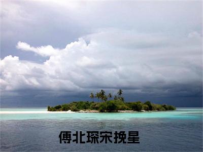 傅北琛宋挽星（傅北琛宋挽星）完整版小说阅读大结局_傅北琛宋挽星（傅北琛宋挽星）全文免费阅读笔趣阁（傅北琛宋挽星）