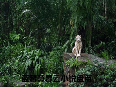 蓝馨萧暮云无弹窗热文在线阅读-蓝馨萧暮云小说在哪里可以看