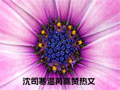 2023热门小说（沈司寒温苒）在线赏析_沈司寒温苒txt小说在线阅读笔趣阁