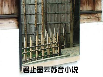 君止墨云苏音小说（君止墨云苏音）全文免费阅读无弹窗大结局_（君止墨云苏音小说全文免费阅读无弹窗）君止墨云苏音最新章节列表_笔趣阁（君止墨云苏音小说）