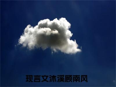 沐溪顾南风的小说大结局免费阅读,沐溪顾南风小说最新章节番外篇