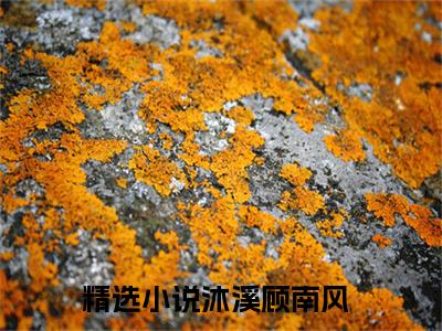 沐溪顾南风是哪部小说的主角-（沐溪顾南风）全文无弹窗完整版阅读