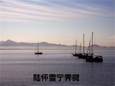 陆怀雪宁霁微在线全文免费阅读陆怀雪宁霁微是主角的小说