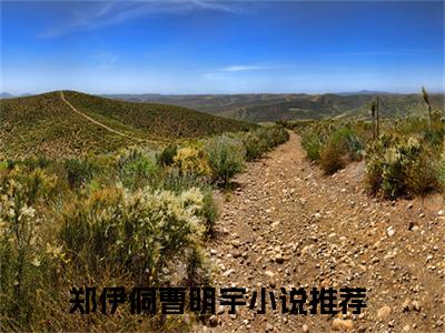郑伊侗曹明宇（郑伊侗曹明宇）全文免费阅读无弹窗大结局_（郑伊侗曹明宇）郑伊侗曹明宇最新章节列表_笔趣阁（郑伊侗曹明宇）