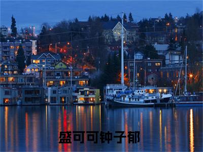 原来，我们的婚姻从一开始就是你的算计（盛可可钟子郁）全文免费阅读无弹窗_盛可可钟子郁最新小说_笔趣阁