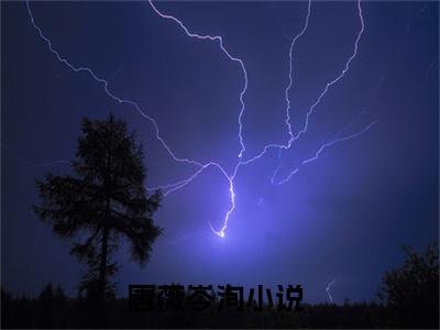 唐薇岑洵小说全文免费阅读 唐薇岑洵小说全文在线赏析_笔趣阁