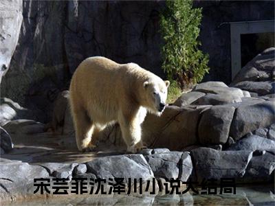 宋芸菲沈泽川（宋芸菲沈泽川）小说全文免费阅读无弹窗_（宋芸菲沈泽川）小说全文免费阅读_最新章节列表_笔趣阁